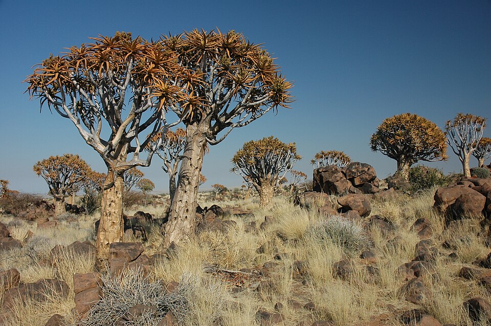 Natuurspeelplaats