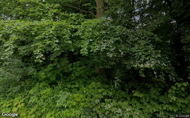 Speeltuin Hoogerwerfsweg “De elf Boompjes”