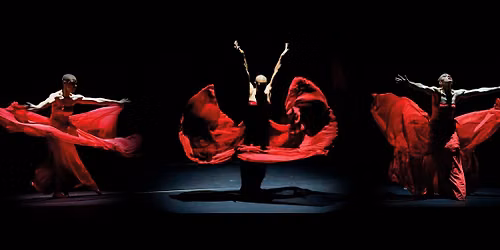 Isabelle Beernaert — theater in Zeeland