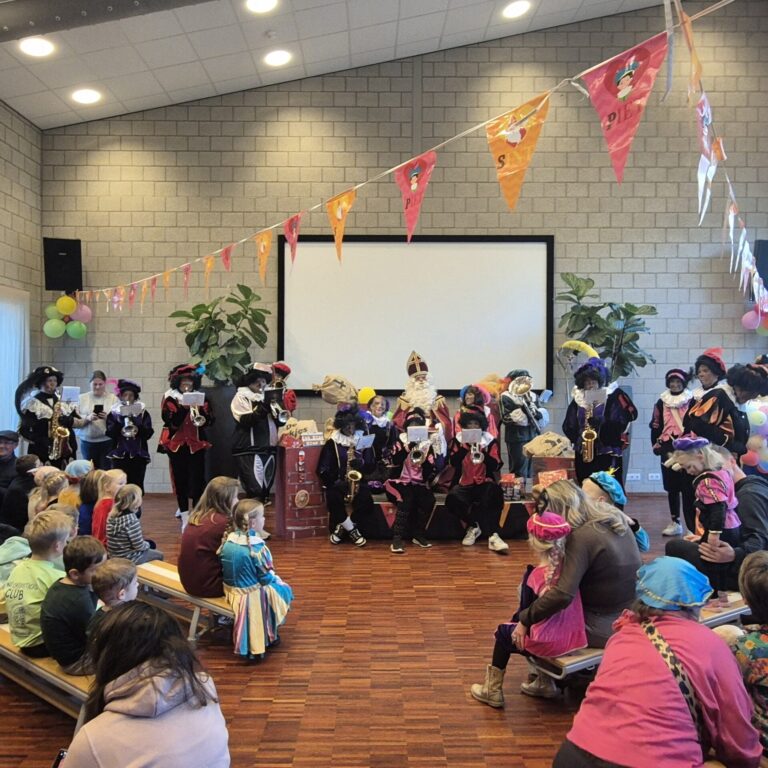 Sinterklaasintocht Sint-Maartensdijk — familie-kids in Zeeland