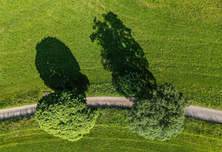 20e MTB Toer- en Wandeltocht Noord-Beveland — Natuur in Zeeland
